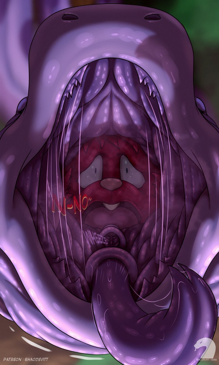 ShaoDevitt tweet media