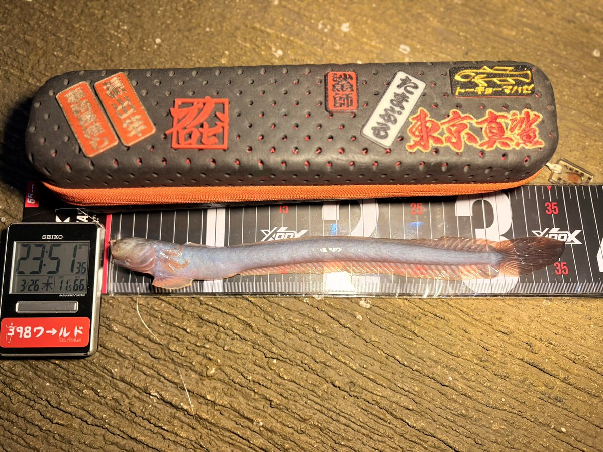 たまぷる tweet media