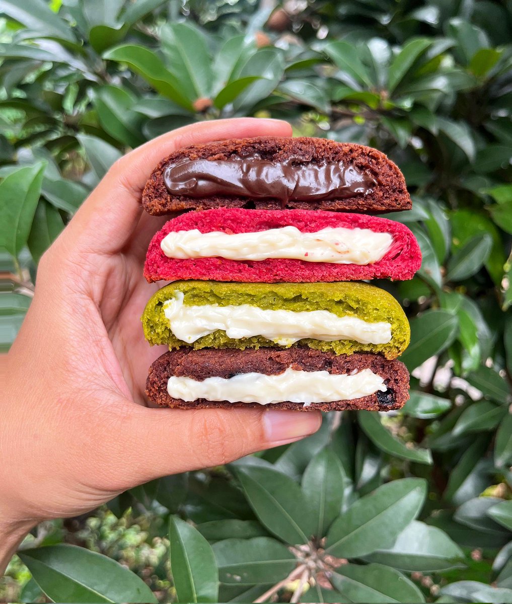 ionn🐬 tweet media