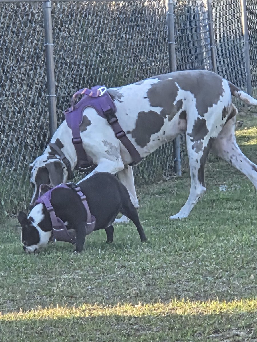 ̿̿ ̿̿ ̿’̿’\̵͇̿̿\з= ( ▀ ͜͞ʖ▀) =ε/̵͇̿̿/’̿’̿ ̿ ̿̿ ̿̿ tweet media