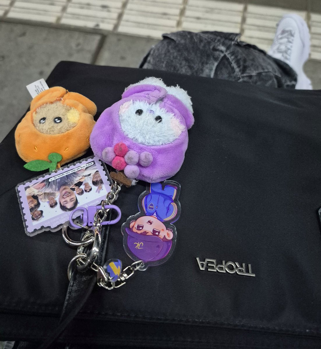 sofi ⁷ 🇦🇷 // ⊙⊝⊜ tweet media