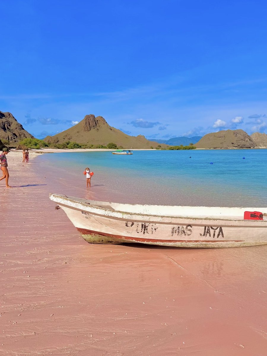 Noorie lova tweet media