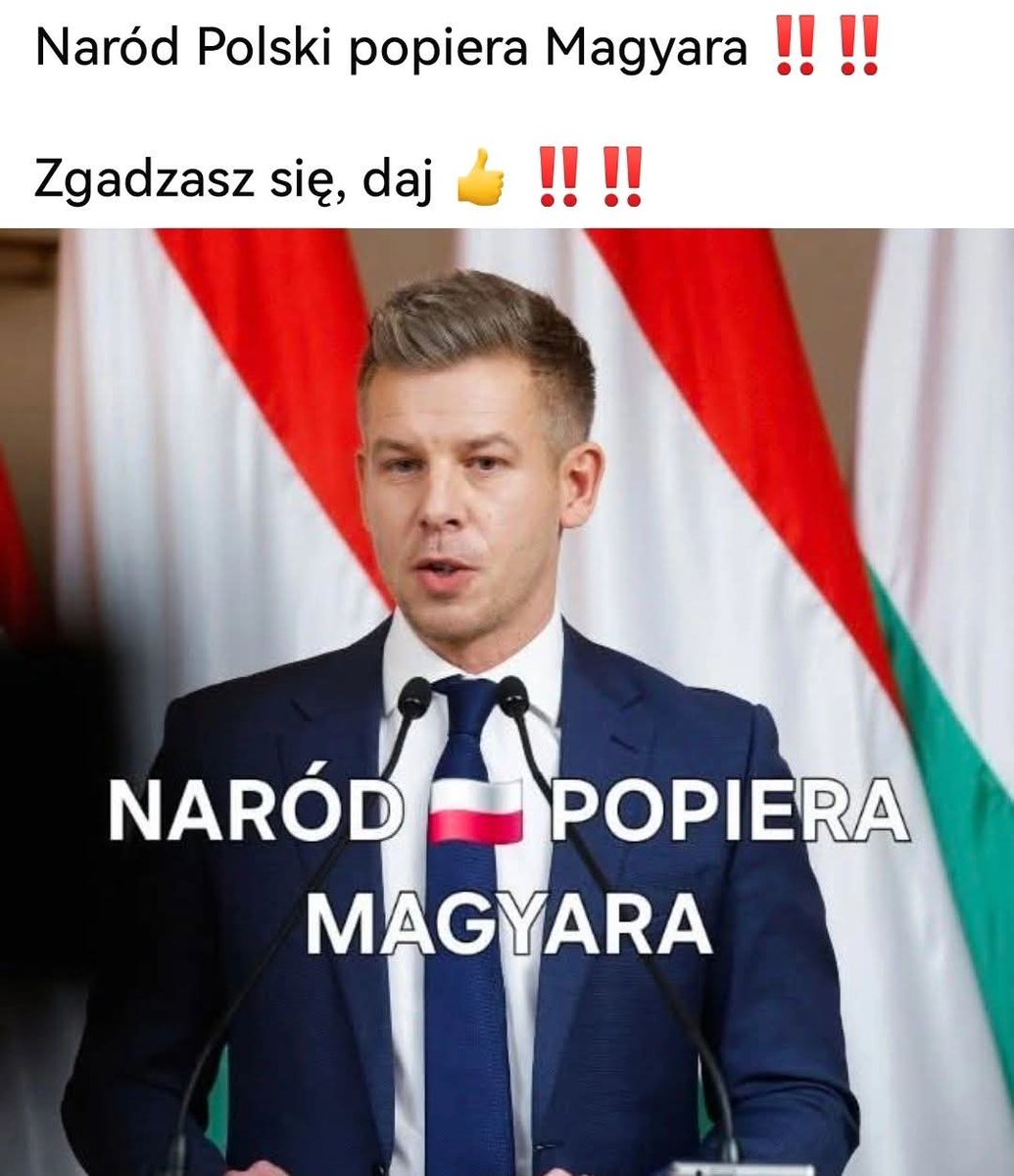 Gosia Hebzie tweet media