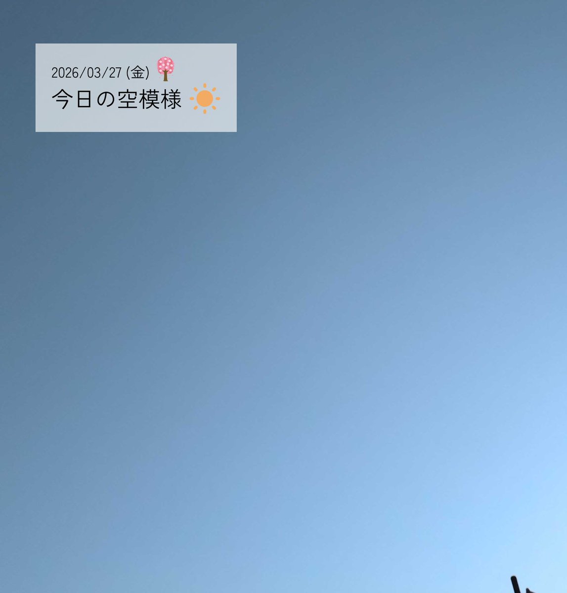 blank canvas tweet media