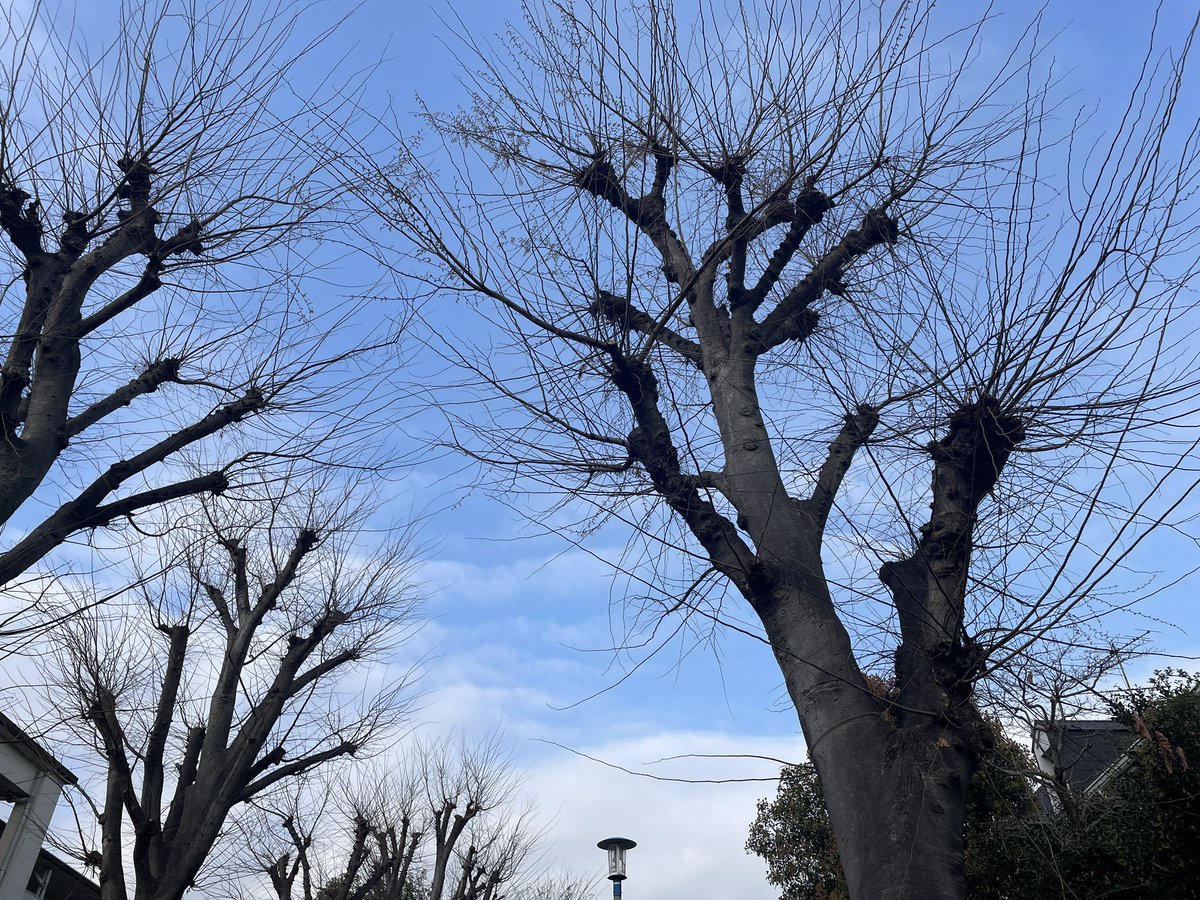 武内享 tweet media