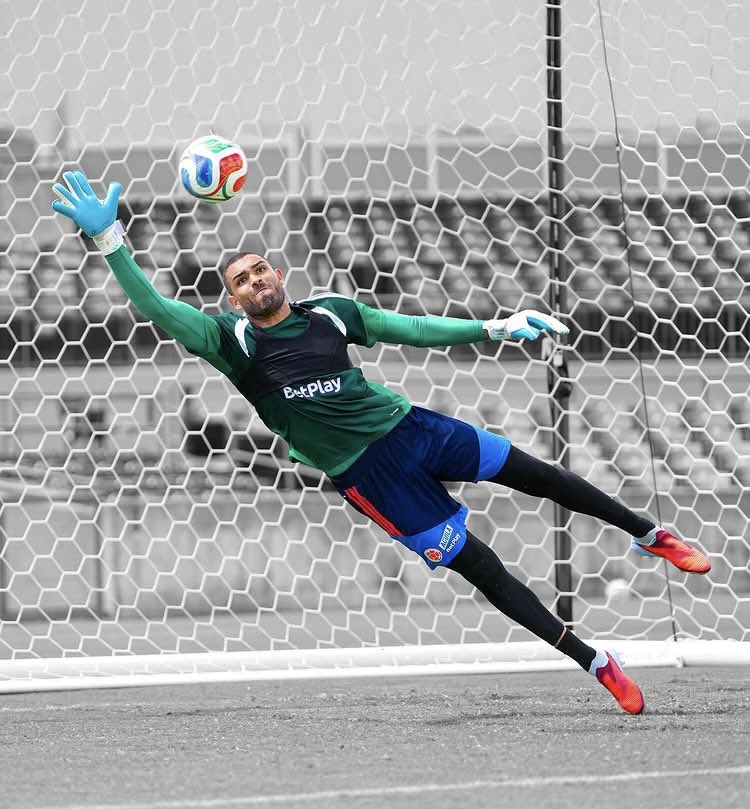 Mundo MILLOS tweet media