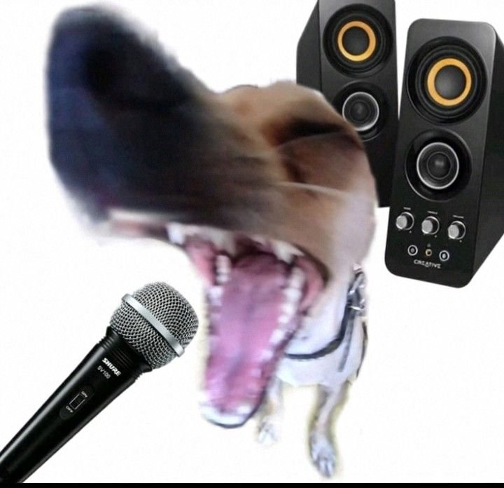 IBRAND22 tweet media