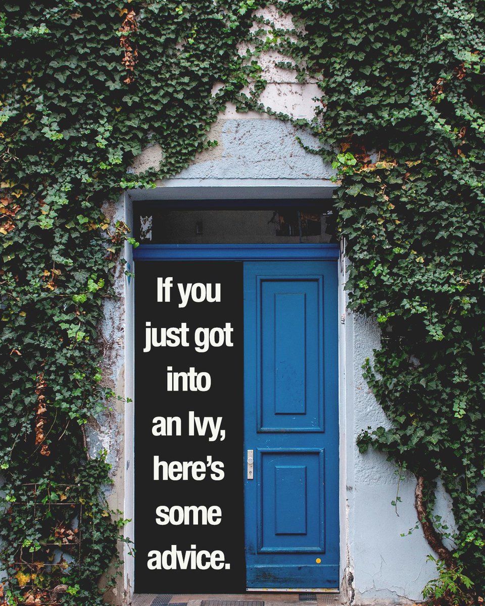 University of Austin (UATX) tweet media