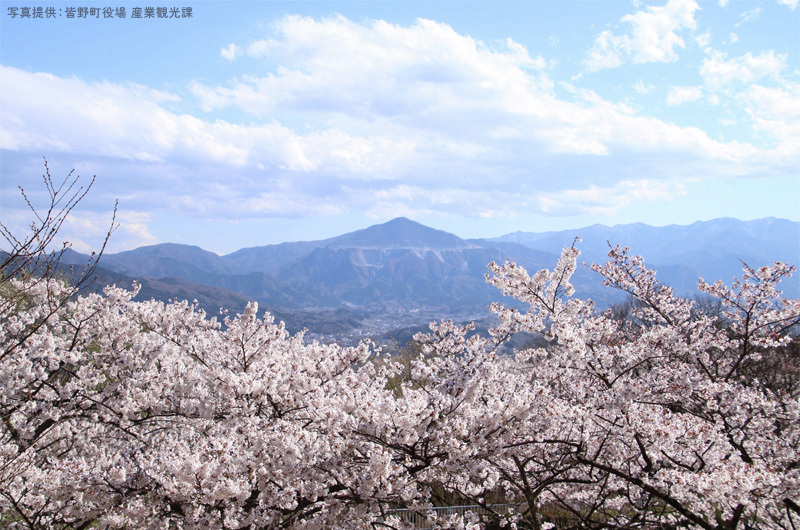 びゅうたび【列車旅/旅行のお役立ち情報🚃】 tweet media