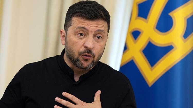 Turtle🐢 tweet media