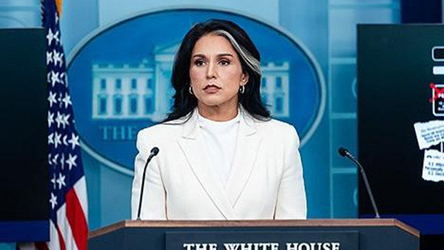 Turtle🐢 tweet media