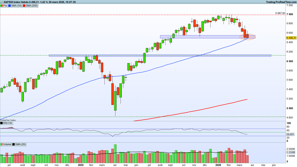Joris Zanna tweet media