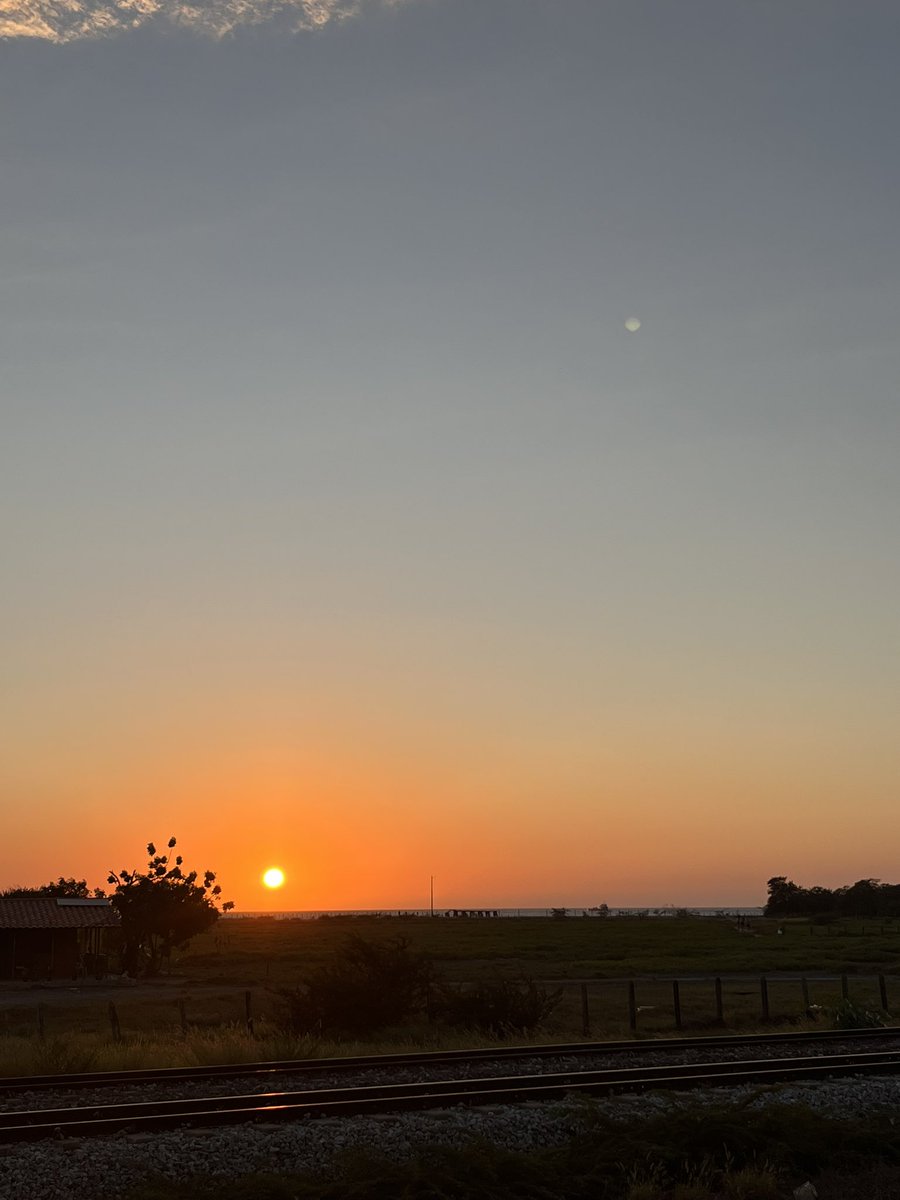 Sebas de los Ríos tweet media