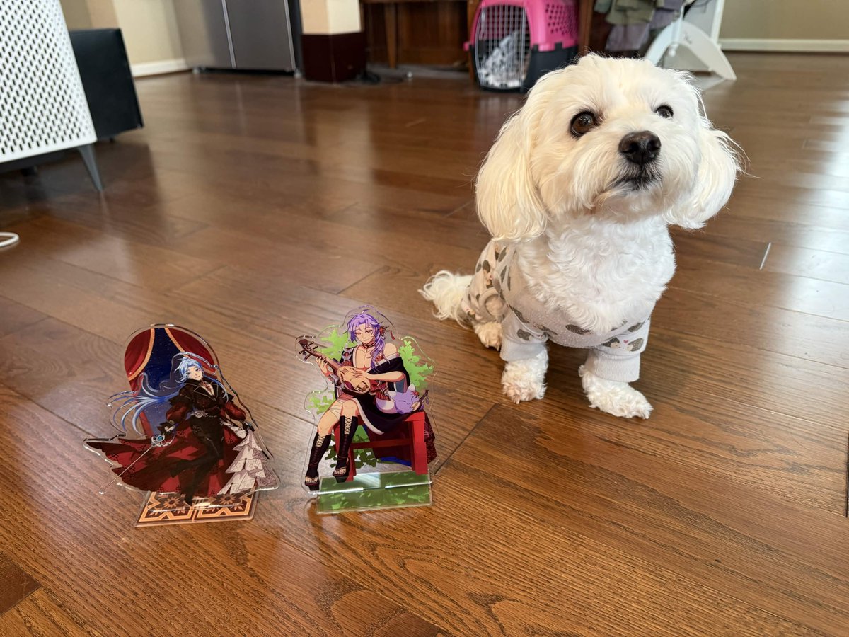 Candice Kang 🔜 SakuraCon #2804 tweet media