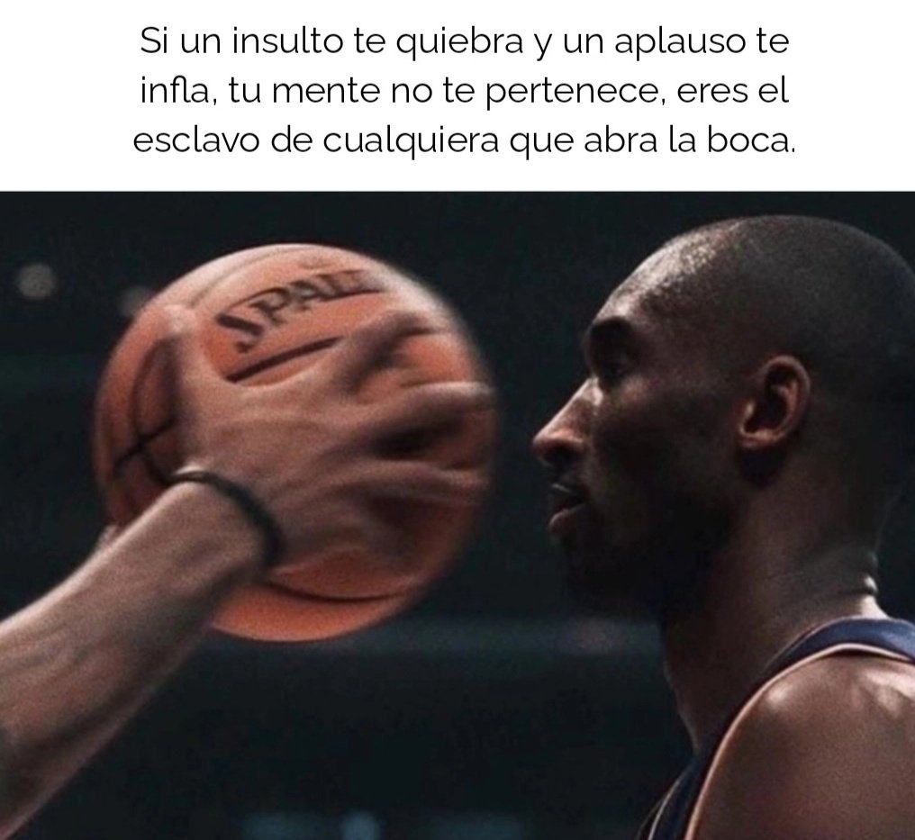 3️⃣2️⃣ tweet media