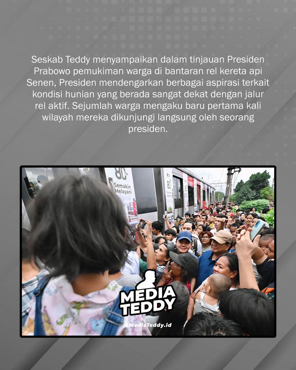 Media Teddy tweet media