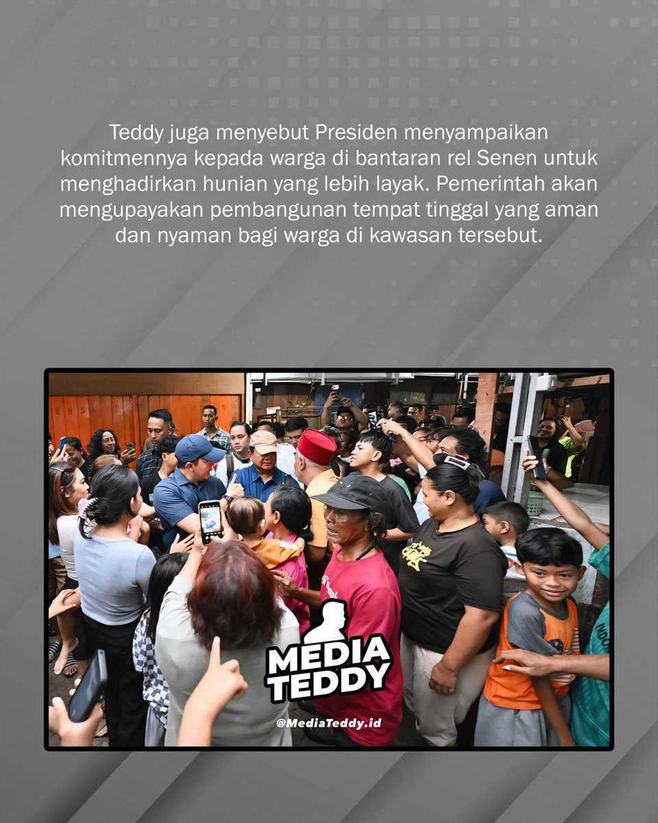 Media Teddy tweet media