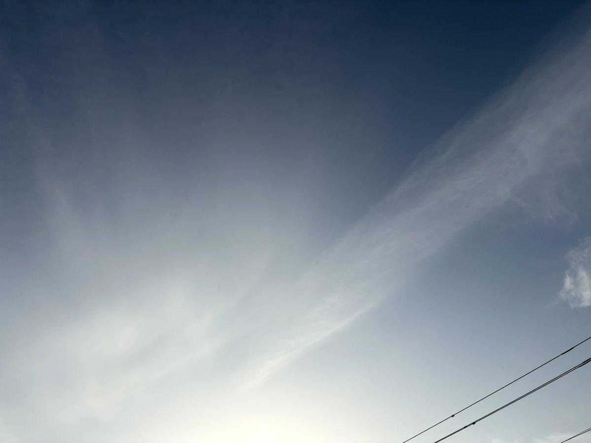 大分ん野球小僧(野球留)🌽@広島カープファン tweet media