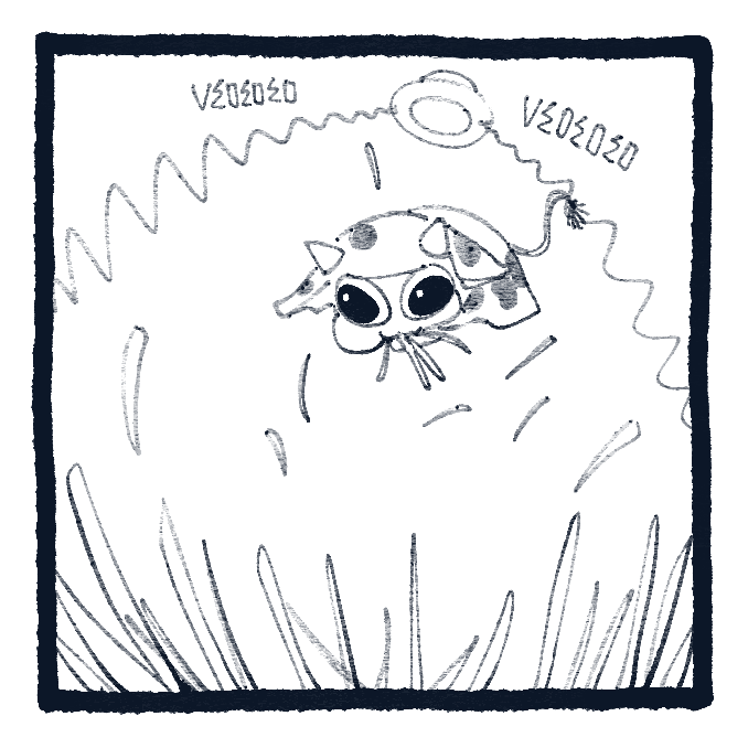 Elko (ON SKY THAT IS BLU) tweet media