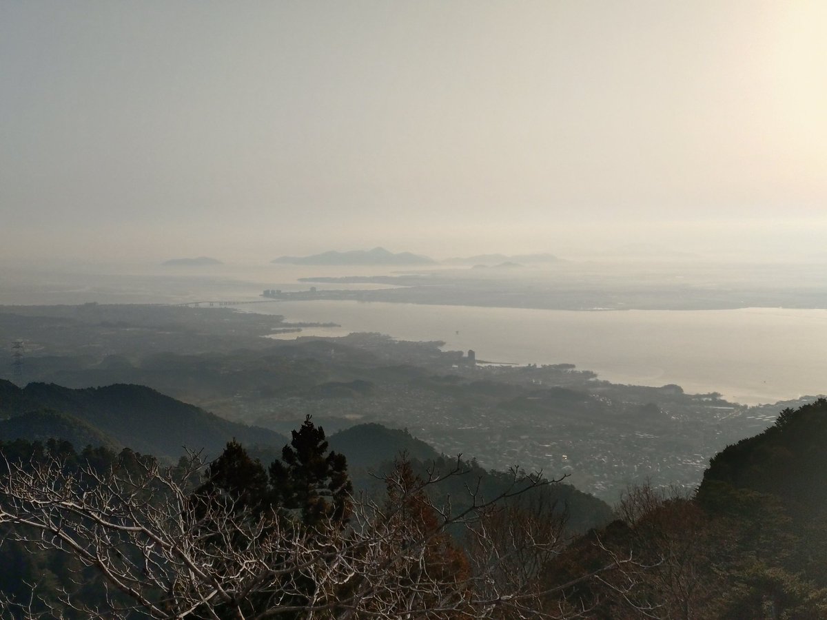 坂本ケーブル【公式】 tweet media