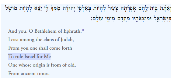 Michael N tweet media