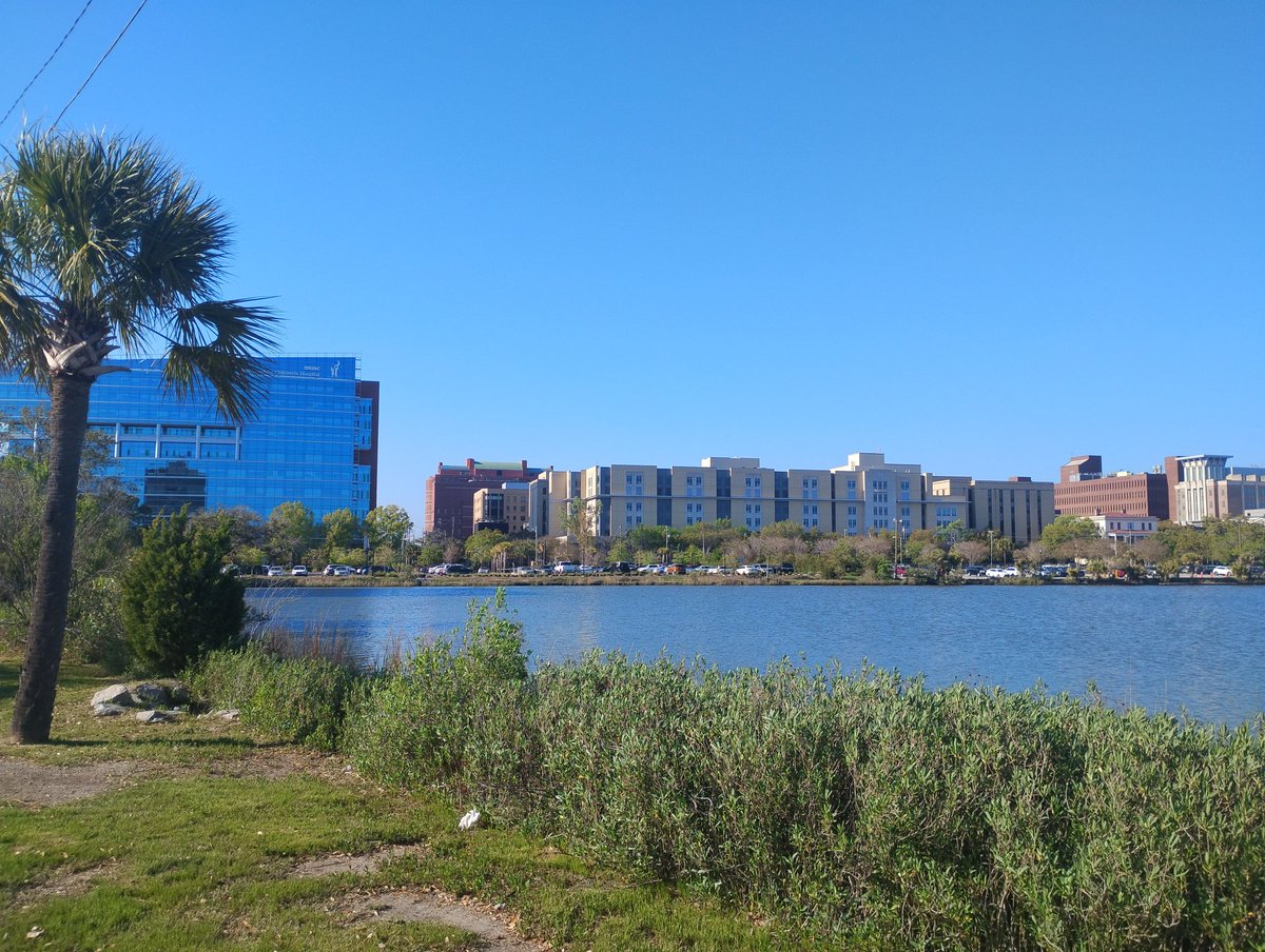 Quintin Washington tweet media