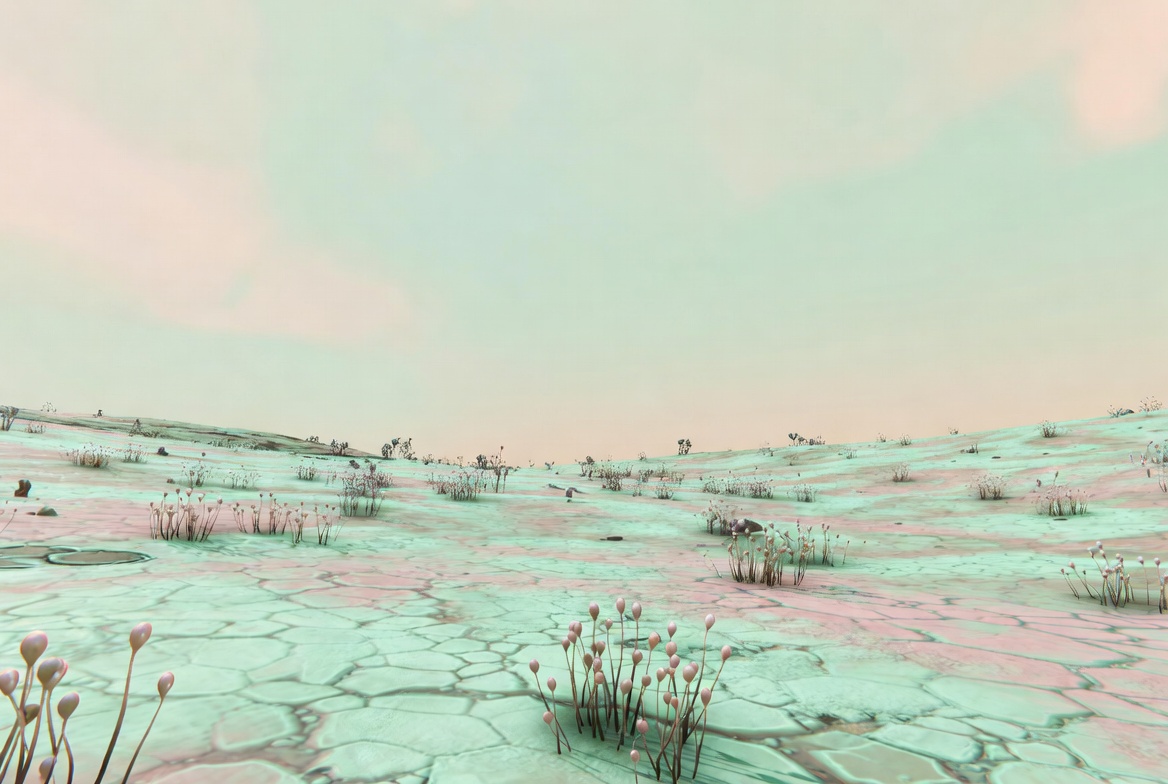 Lotti_30 tweet media