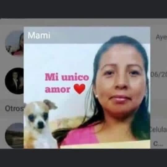 DiloConPerritos's tweet photo. Mi mamá: “Nada de perros en esta casa…”

Mi mamá también: https://t.co/Qiwy50v7Fw
