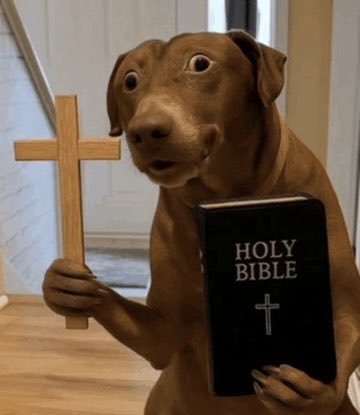 JustWall tweet media