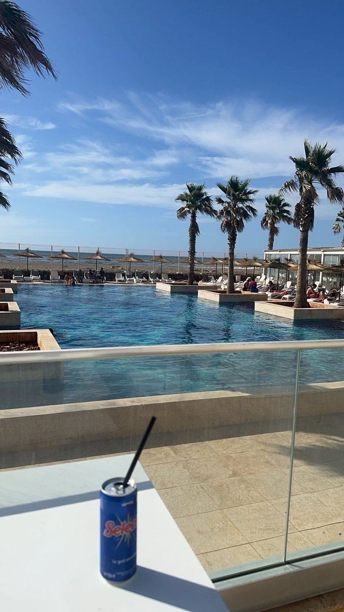 TRAPSTAR tweet media