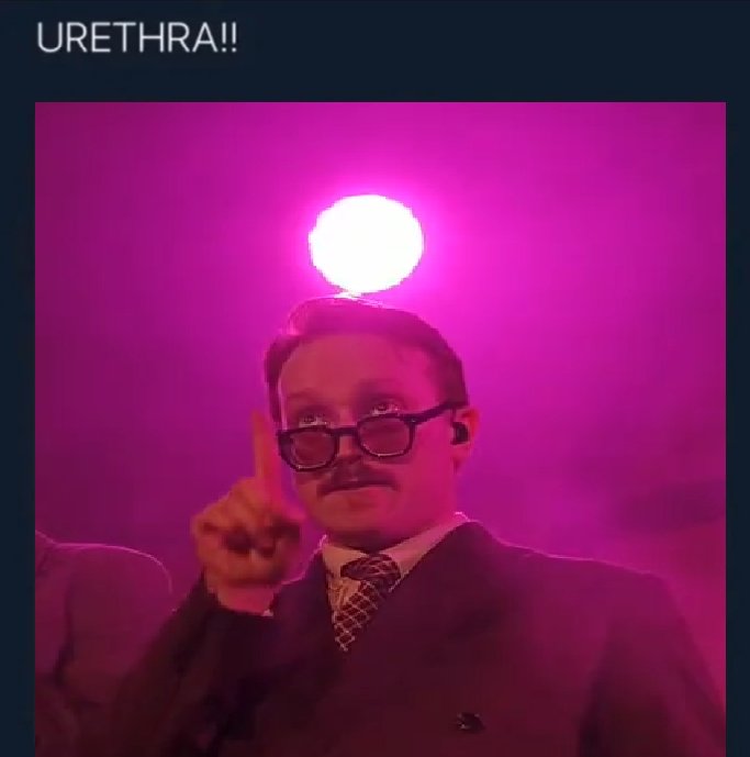 oona ₊°｡❆₍ᐢ. .ᐢ₎ ₊°｡❆ tweet media