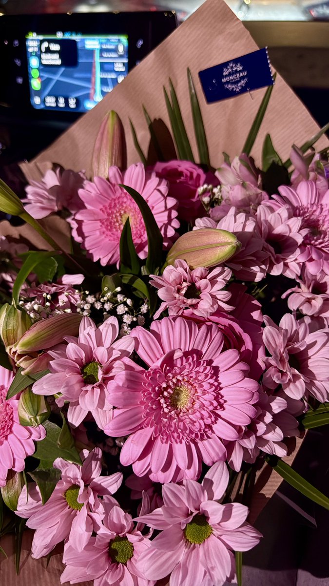 𝐍𝐒 tweet media