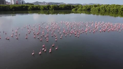 Fundación Caribe Sur tweet media