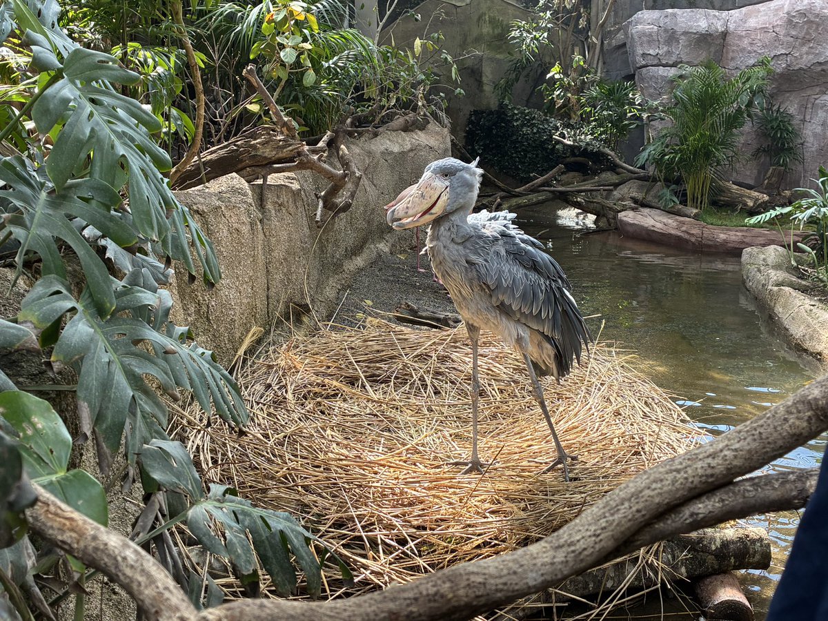 レイ・フロンティア株式会社【公式】 tweet media