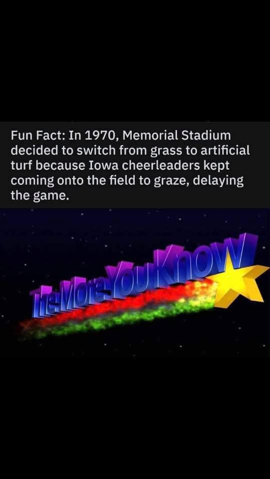 Shelley Tamasi 🫒🧑‍🌾 tweet media