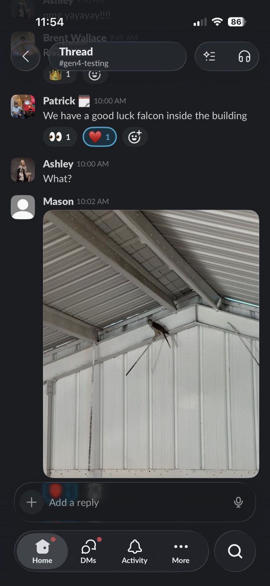 Ian Brooke tweet media