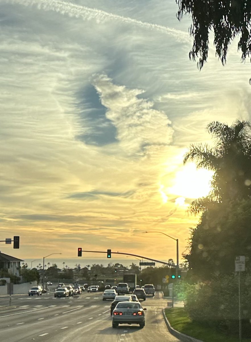 SemperOrantes tweet media