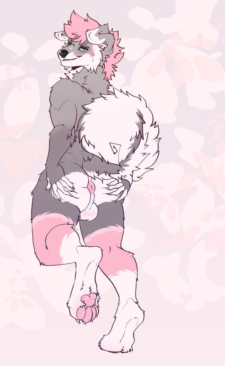 stinkCelo tweet media