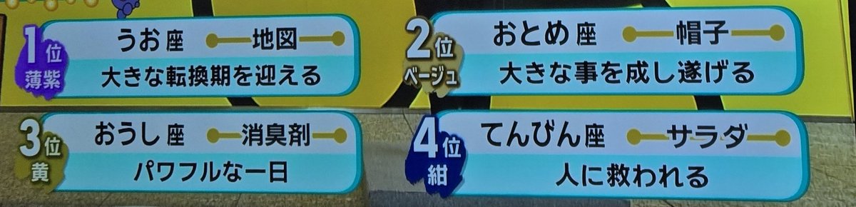 美紅🐾 tweet media