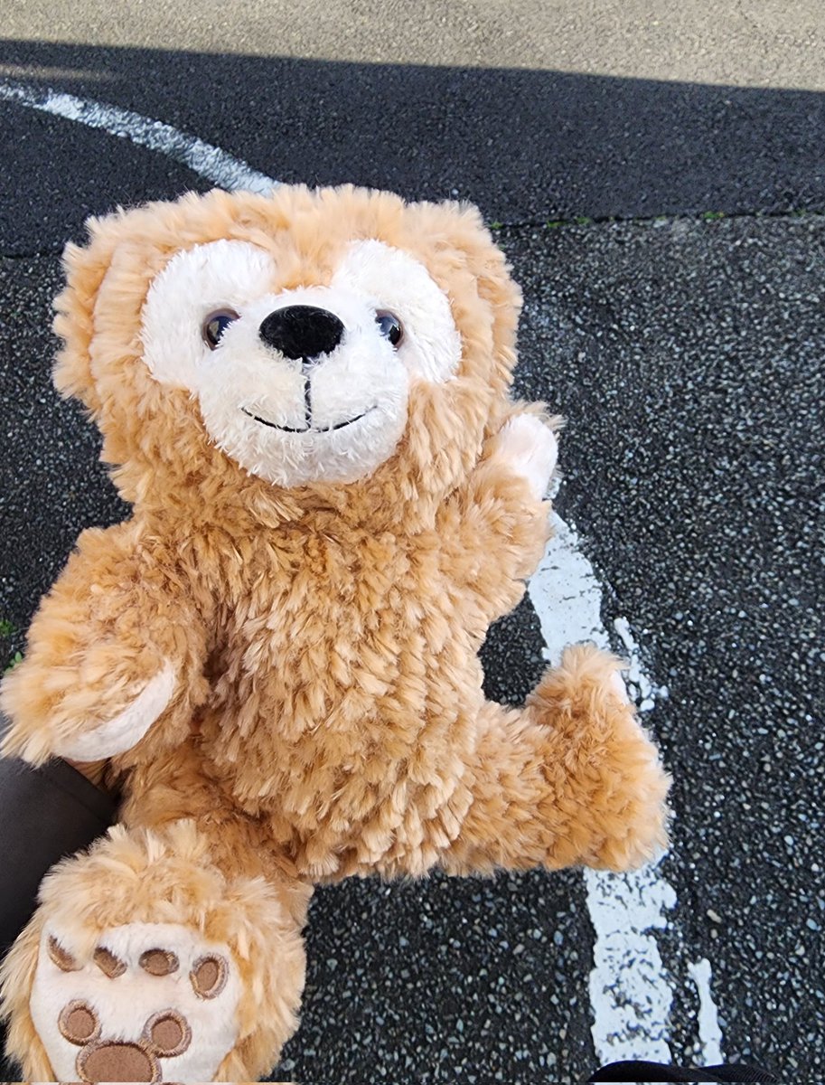 今日の息子の保育園までのお供はパペットダッフィーでした🧸
この子と出勤するよ♡