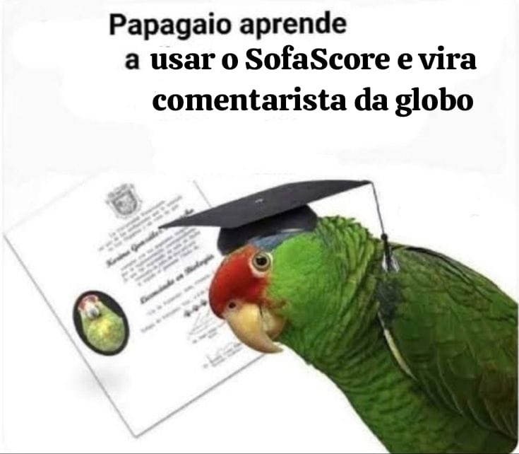 João Brandão tweet media