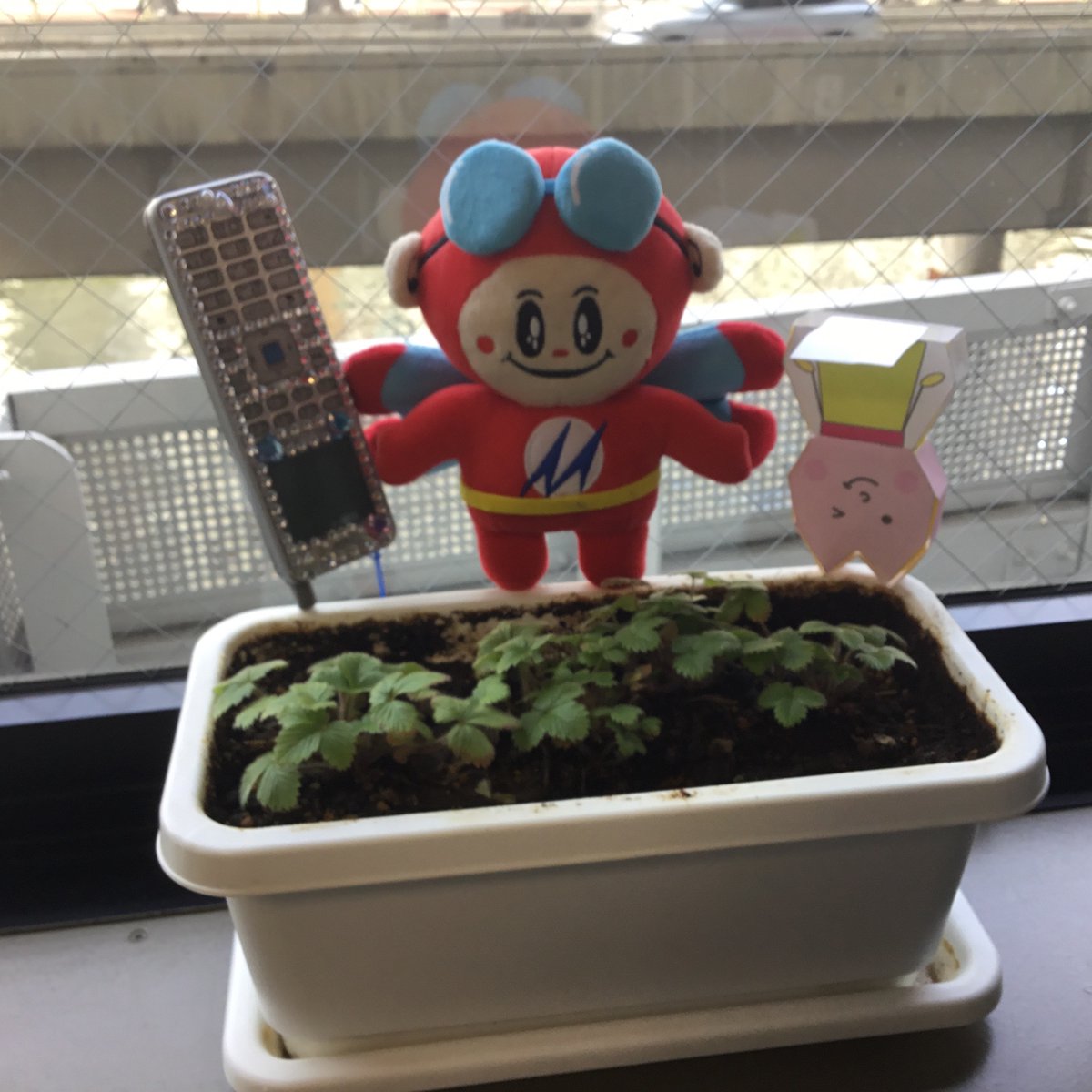 ☎meidentsushop名電通【公式】 tweet media