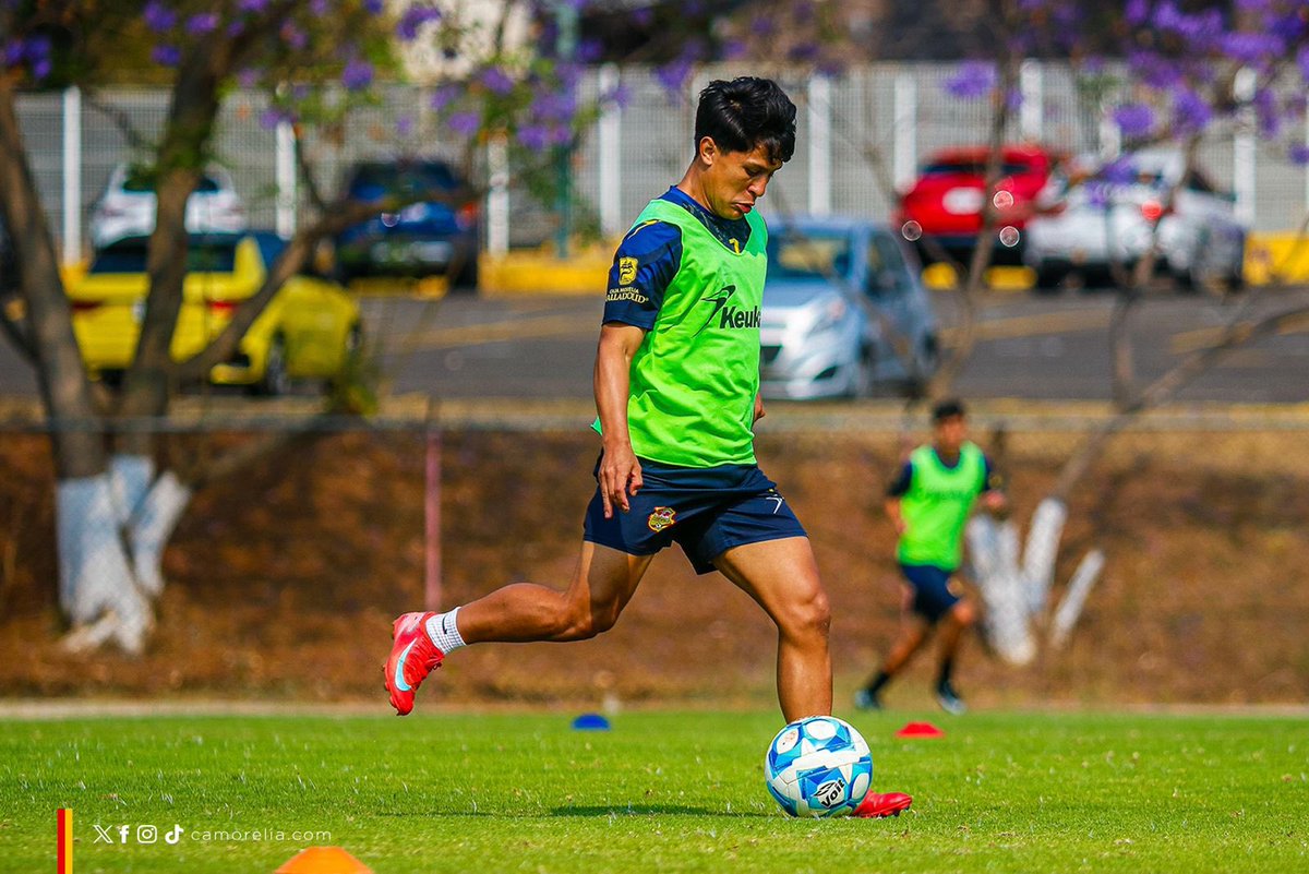 C_A_Morelia's tweet photo. Continuamos, el sábado nos vemos en casa 🏟️

#DelCanarioSoy https://t.co/9ehlV6JzXv