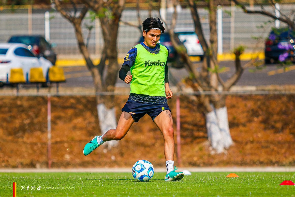 C_A_Morelia's tweet photo. Continuamos, el sábado nos vemos en casa 🏟️

#DelCanarioSoy https://t.co/9ehlV6JzXv