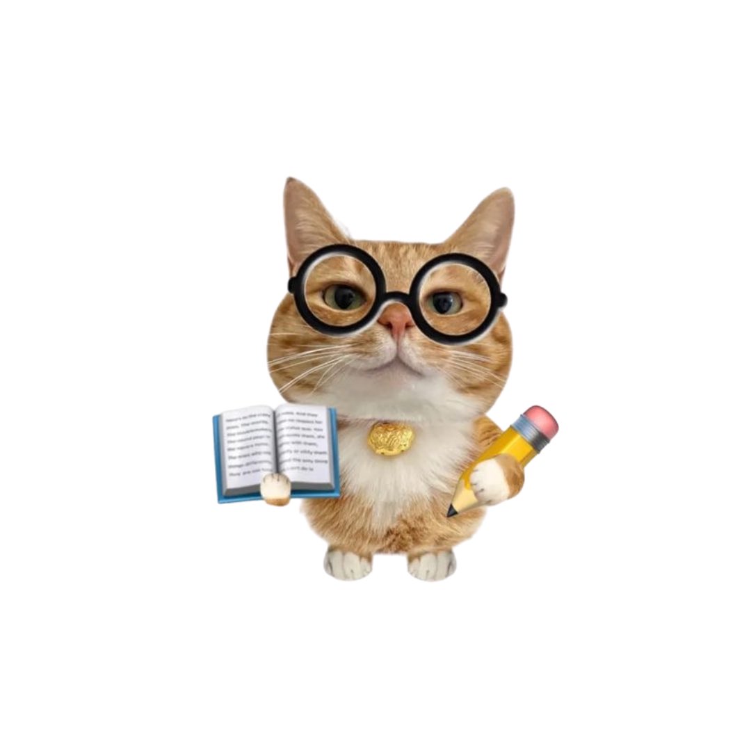 𑣲 demô with you (maniac) ᝰ.ᐟ tweet media