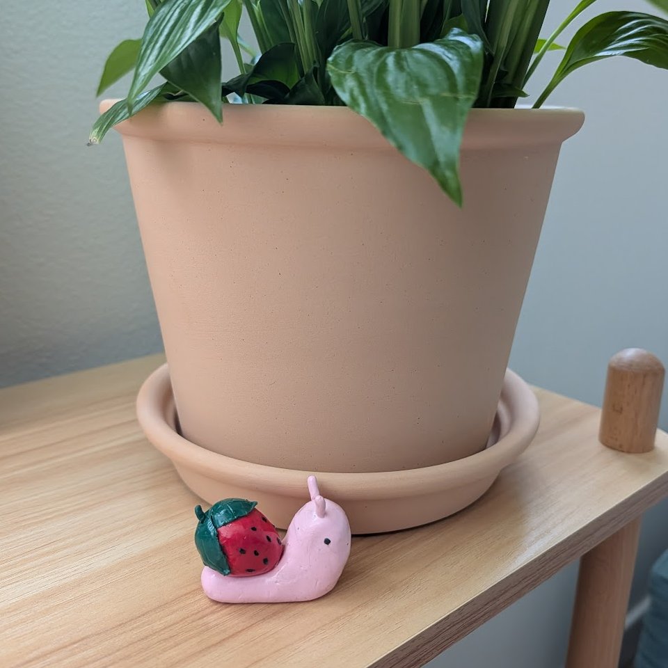 Frances Lorenz tweet media