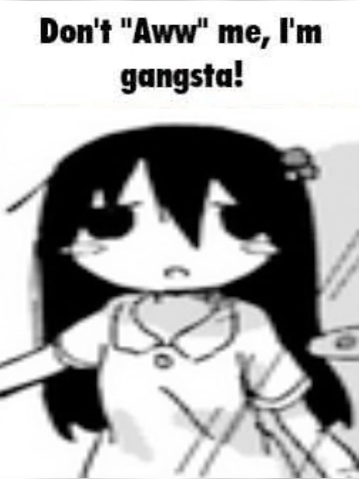 🇨🇦 John Canadian Man 🇵🇸 #FreePalestine tweet media