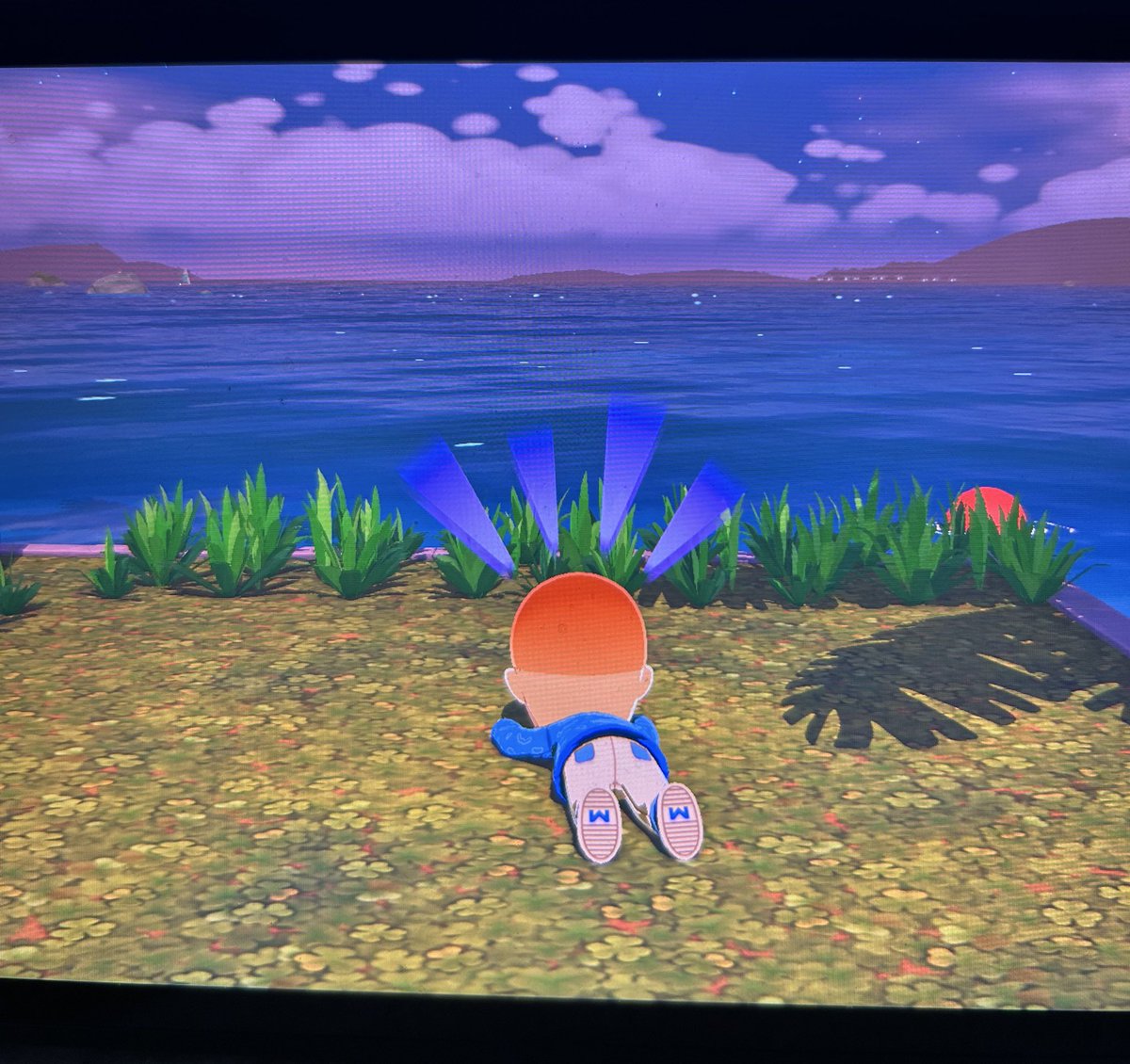 CAIT !! ⚢ tweet media