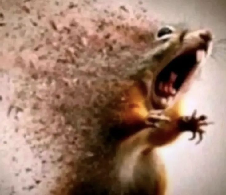 what the heaven?! tweet media