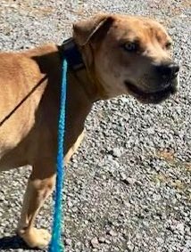 Donna Lac tweet media